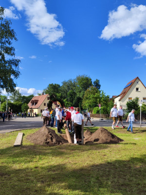 kerwa24 bamaufstellen