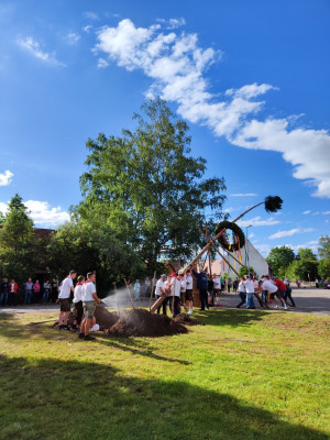 kerwa24 bamaufstellen