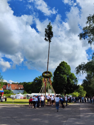 kerwa24 bamaufstellen