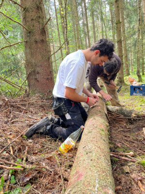 kerwa24 kranzundluuch